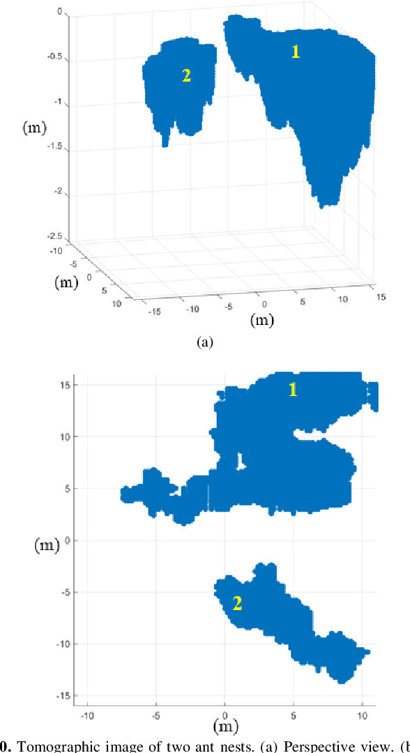 Figure 2 for Ant Nest Detection Using Underground P-Band TomoSAR