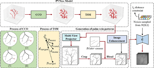 Figure 3 for PVTree: Realistic and Controllable Palm Vein Generation for Recognition Tasks