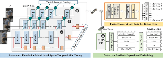 Figure 2 for Spatio-Temporal Side Tuning Pre-trained Foundation Models for Video-based Pedestrian Attribute Recognition