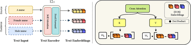 Figure 2 for MIST: Mitigating Intersectional Bias with Disentangled Cross-Attention Editing in Text-to-Image Diffusion Models