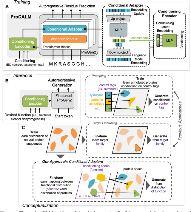 Figure 2 for Conditional Enzyme Generation Using Protein Language Models with Adapters