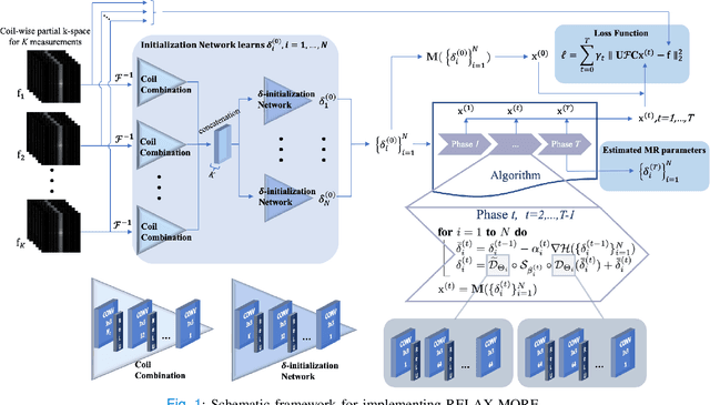 Figure 1 for Magnetic Resonance Parameter Mapping using Self-supervised Deep Learning with Model Reinforcement