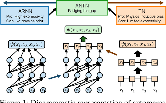 Figure 1 for Autoregressive Neural TensorNet: Bridging Neural Networks and Tensor Networks for Quantum Many-Body Simulation