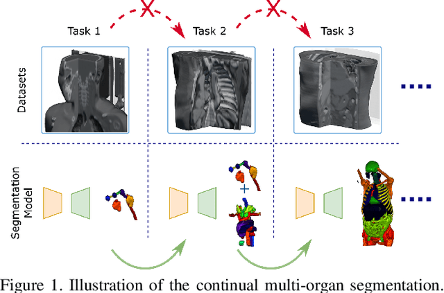 Figure 1 for Continual Segment: Towards a Single, Unified and Accessible Continual Segmentation Model of 143 Whole-body Organs in CT Scans