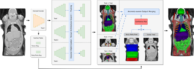 Figure 3 for Continual Segment: Towards a Single, Unified and Accessible Continual Segmentation Model of 143 Whole-body Organs in CT Scans