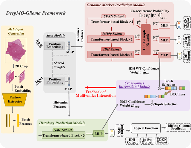 Figure 1 for Multi-task Learning of Histology and Molecular Markers for Classifying Diffuse Glioma