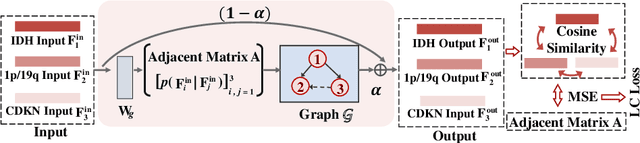 Figure 3 for Multi-task Learning of Histology and Molecular Markers for Classifying Diffuse Glioma