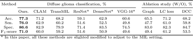 Figure 2 for Multi-task Learning of Histology and Molecular Markers for Classifying Diffuse Glioma