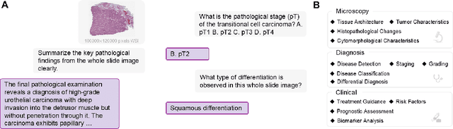 Figure 1 for SlideChat: A Large Vision-Language Assistant for Whole-Slide Pathology Image Understanding