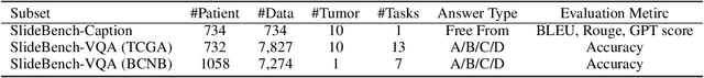 Figure 2 for SlideChat: A Large Vision-Language Assistant for Whole-Slide Pathology Image Understanding