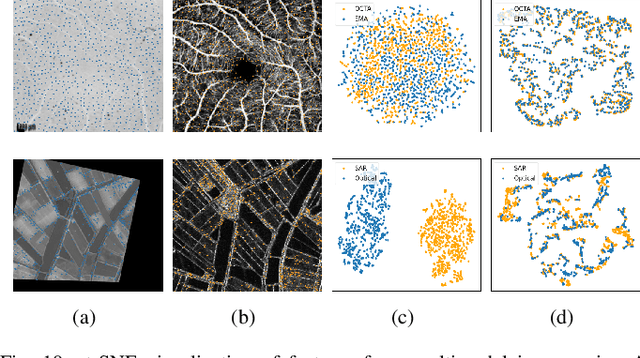 Figure 2 for MIFNet: Learning Modality-Invariant Features for Generalizable Multimodal Image Matching