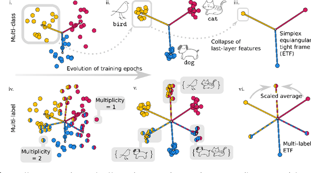 Figure 1 for Neural Collapse in Multi-label Learning with Pick-all-label Loss