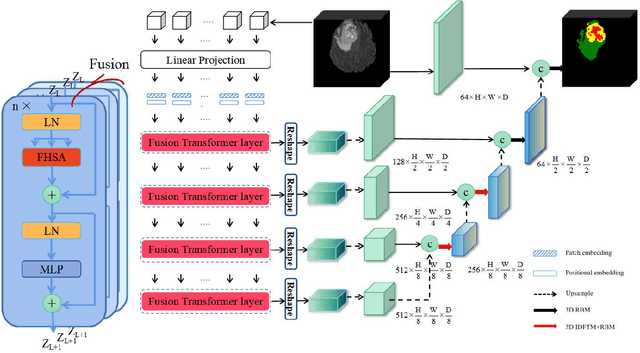 Figure 2 for 3D Brainformer: 3D Fusion Transformer for Brain Tumor Segmentation