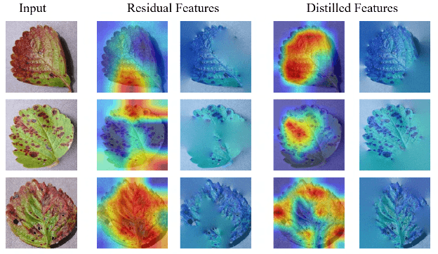 Figure 1 for On Explaining Knowledge Distillation: Measuring and Visualising the Knowledge Transfer Process