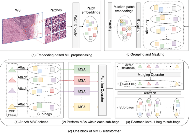 Figure 3 for Multi-level Multiple Instance Learning with Transformer for Whole Slide Image Classification