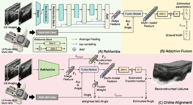 Figure 3 for Fine-grained Context and Multi-modal Alignment for Freehand 3D Ultrasound Reconstruction