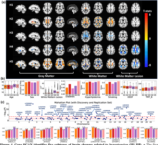 Figure 3 for Gene-SGAN: a method for discovering disease subtypes with imaging and genetic signatures via multi-view weakly-supervised deep clustering