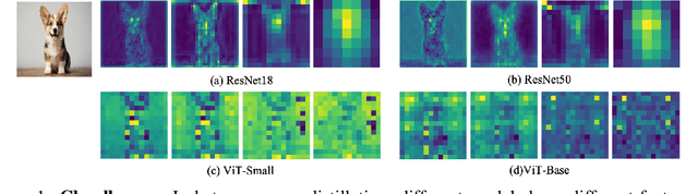 Figure 1 for TAS: Distilling Arbitrary Teacher and Student via a Hybrid Assistant