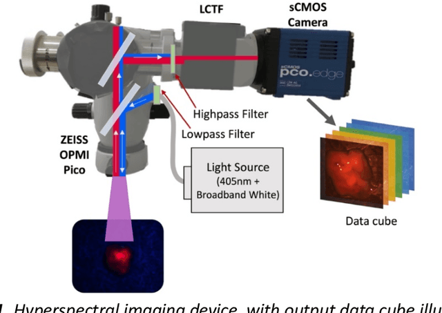 Figure 1 for A Spectral Library and Method for Sparse Unmixing of Hyperspectral Images in Fluorescence Guided Resection of Brain Tumors