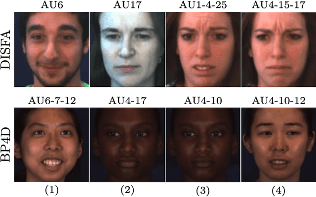 Figure 1 for Fighting noise and imbalance in Action Unit detection problems