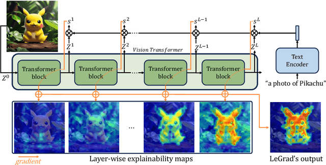 Figure 2 for LeGrad: An Explainability Method for Vision Transformers via Feature Formation Sensitivity