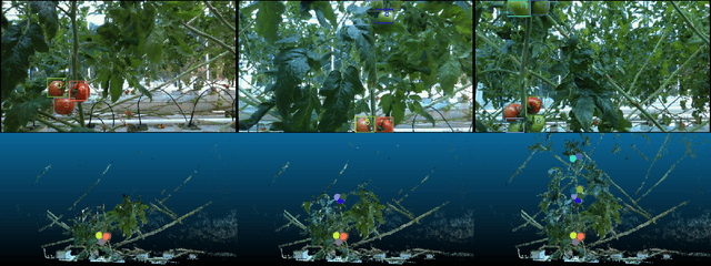 Figure 1 for MOT-DETR: 3D Single Shot Detection and Tracking with Transformers to build 3D representations for Agro-Food Robots