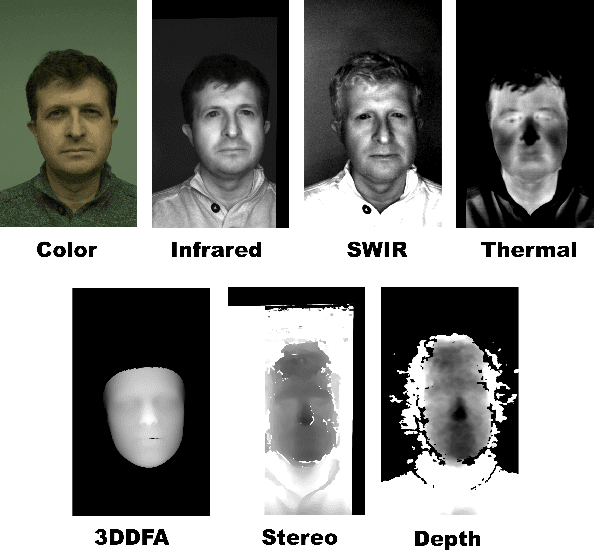 Figure 1 for From Modalities to Styles: Rethinking the Domain Gap in Heterogeneous Face Recognition