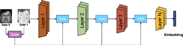 Figure 3 for From Modalities to Styles: Rethinking the Domain Gap in Heterogeneous Face Recognition