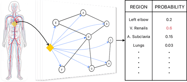 Figure 3 for Tailoring Graph Neural Network-based Flow-guided Localization to Individual Bloodstreams and Activities