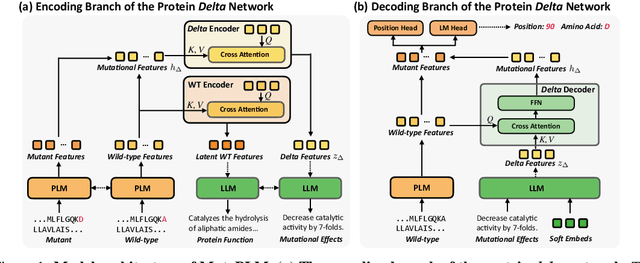 Figure 1 for MutaPLM: Protein Language Modeling for Mutation Explanation and Engineering