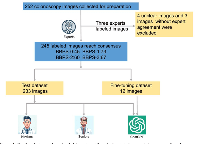 Figure 2 for The Application of ChatGPT in Responding to Questions Related to the Boston Bowel Preparation Scale