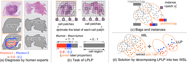 Figure 1 for Learning from Partial Label Proportions for Whole Slide Image Segmentation