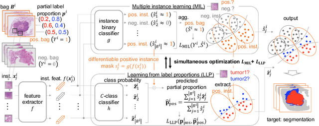 Figure 3 for Learning from Partial Label Proportions for Whole Slide Image Segmentation