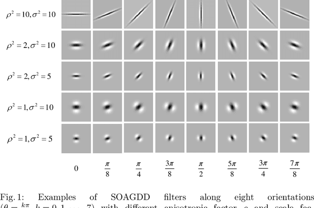 Figure 1 for Second-order Anisotropic Gaussian Directional Derivative Filters for Blob Detection