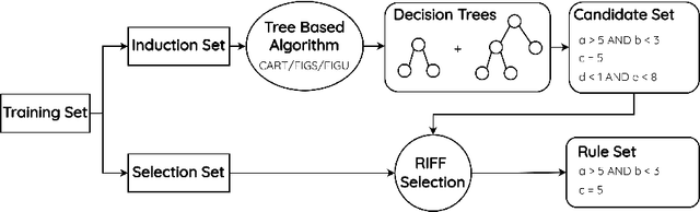 Figure 1 for RIFF: Inducing Rules for Fraud Detection from Decision Trees