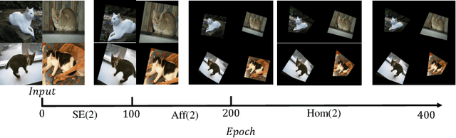 Figure 3 for SpaceJAM: a Lightweight and Regularization-free Method for Fast Joint Alignment of Images