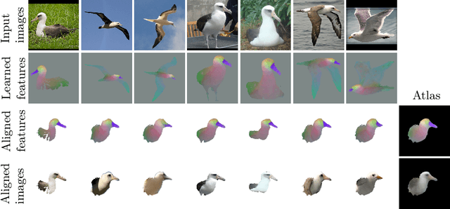 Figure 1 for SpaceJAM: a Lightweight and Regularization-free Method for Fast Joint Alignment of Images