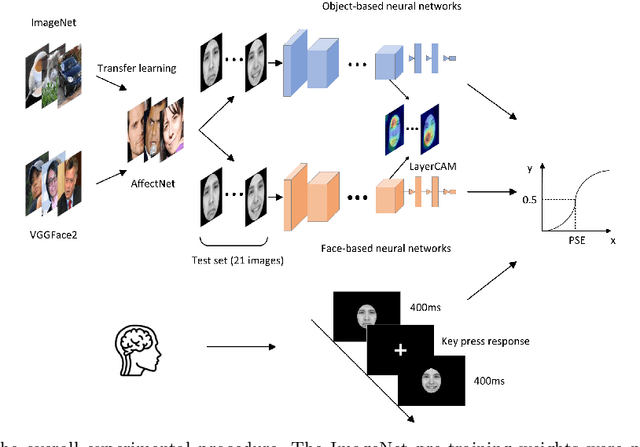 Figure 1 for Using Human-like Mechanism to Weaken Effect of Pre-training Weight Bias in Face-Recognition Convolutional Neural Network