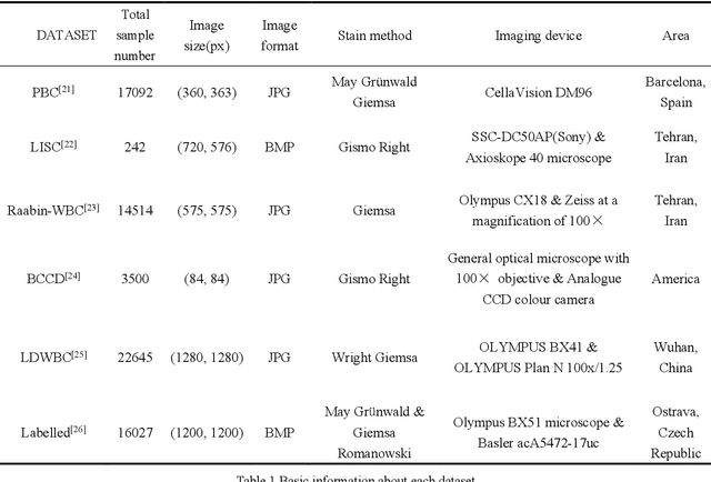 Figure 2 for DAFFNet: A Dual Attention Feature Fusion Network for Classification of White Blood Cells