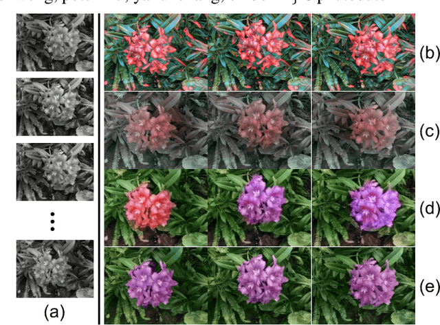 Figure 1 for Colorizing Monochromatic Radiance Fields