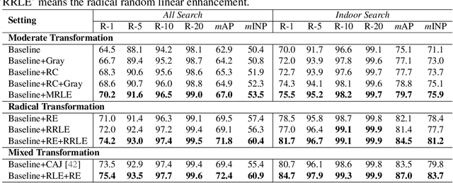 Figure 2 for RLE: A Unified Perspective of Data Augmentation for Cross-Spectral Re-identification