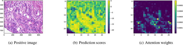 Figure 4 for Provable Multi-instance Deep AUC Maximization with Stochastic Pooling