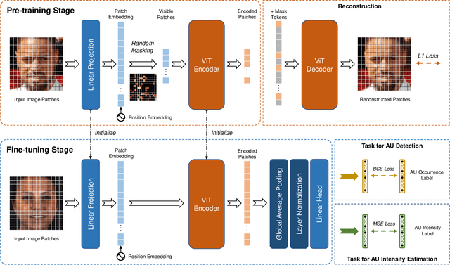 Figure 3 for Facial Action Unit Detection and Intensity Estimation from Self-supervised Representation