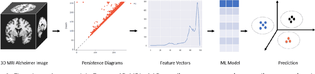 Figure 4 for 3D-TDA -- Topological feature extraction from 3D images for Alzheimer's disease classification