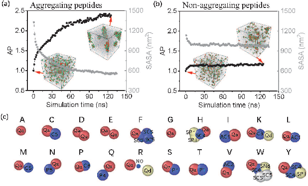 Figure 1 for Efficient Prediction of Peptide Self-assembly through Sequential and Graphical Encoding