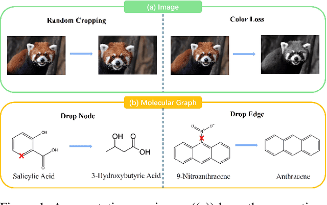 Figure 1 for GNN-Transformer Cooperative Architecture for Trustworthy Graph Contrastive Learning