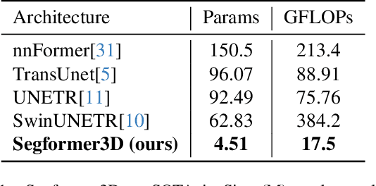 Figure 2 for SegFormer3D: an Efficient Transformer for 3D Medical Image Segmentation