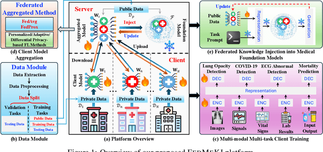 Figure 1 for FEDMEKI: A Benchmark for Scaling Medical Foundation Models via Federated Knowledge Injection