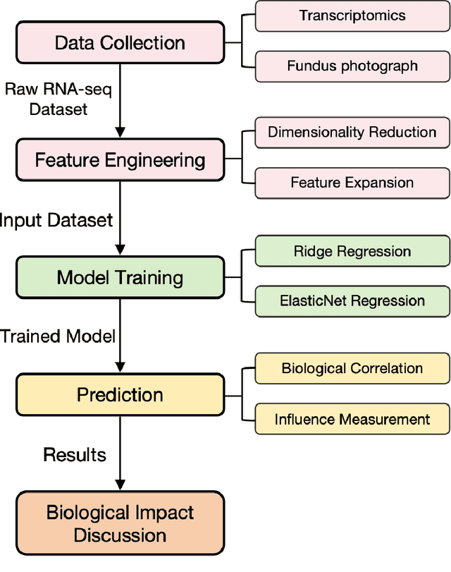 Figure 1 for Machine Learning-Based Prediction of Key Genes Correlated to the Subretinal Lesion Severity in a Mouse Model of Age-Related Macular Degeneration