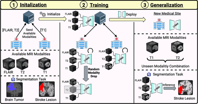 Figure 1 for Feasibility of Federated Learning from Client Databases with Different Brain Diseases and MRI Modalities